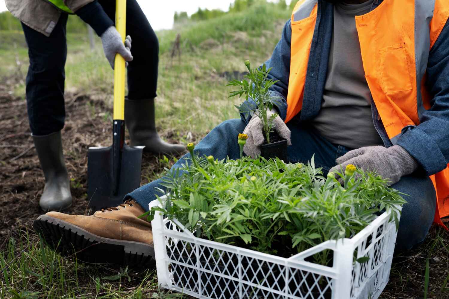 Best Emergency Storm Tree Removal  in Swartz Creek, MI